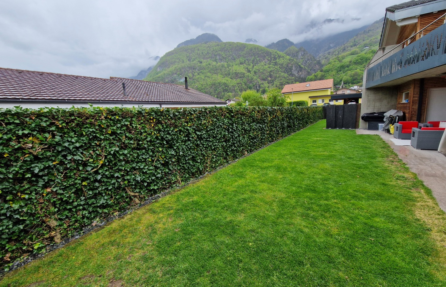 Haie de lierre parfaitement taillée longeant un jardin privé à Vionnaz par Veuthey Payasage SA.