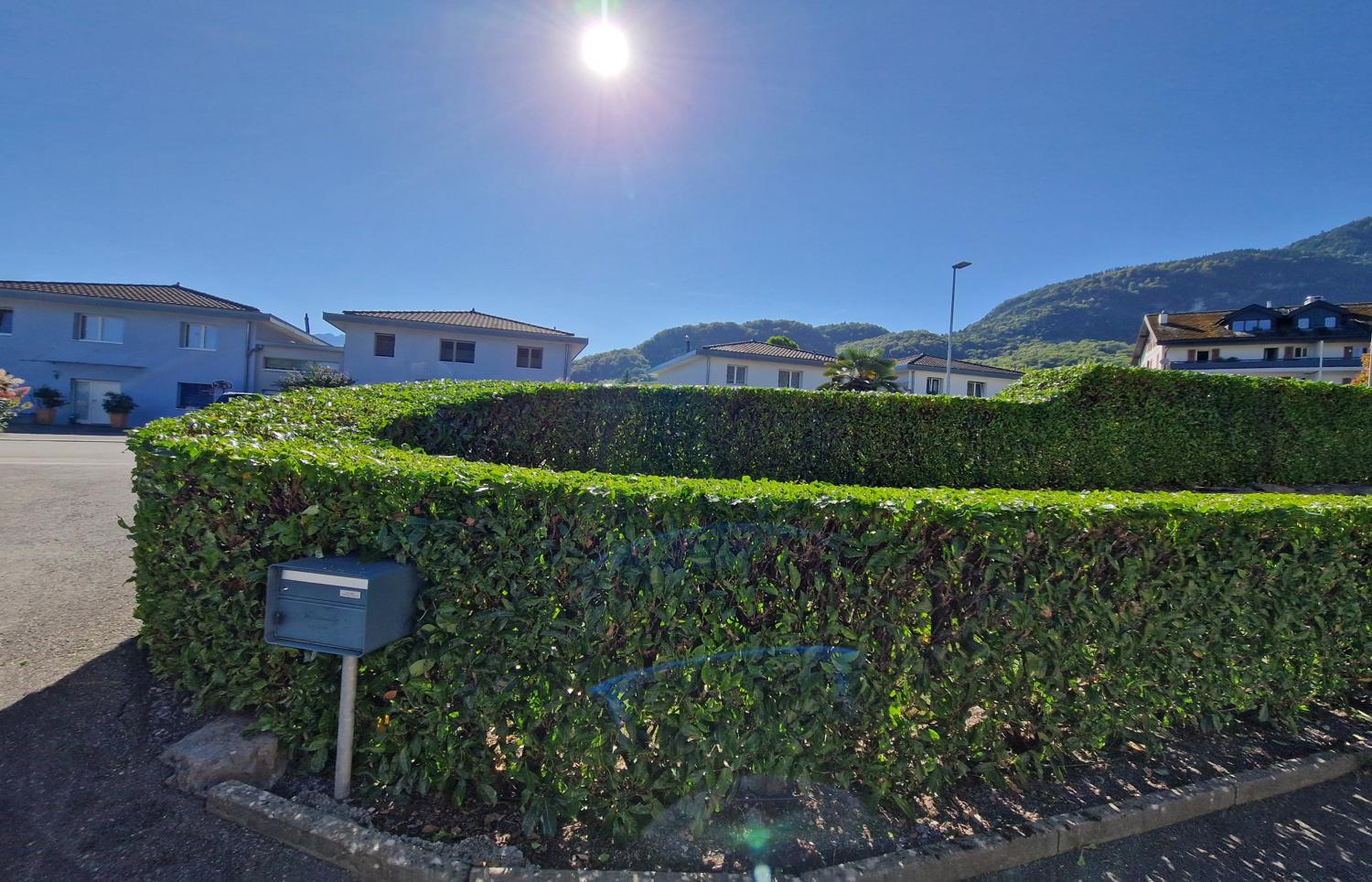 Taille d'une haie à Muraz Taille d'une haie de laurelles à Muraz à l'aide d'un taille haie à accu.